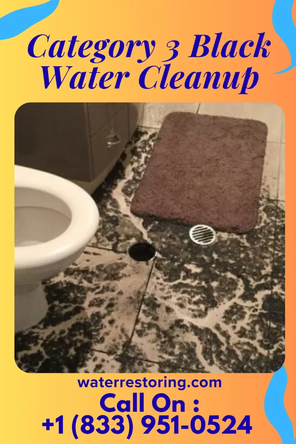 Category 3 Black Water Cleanup in Richmond Hill, GA