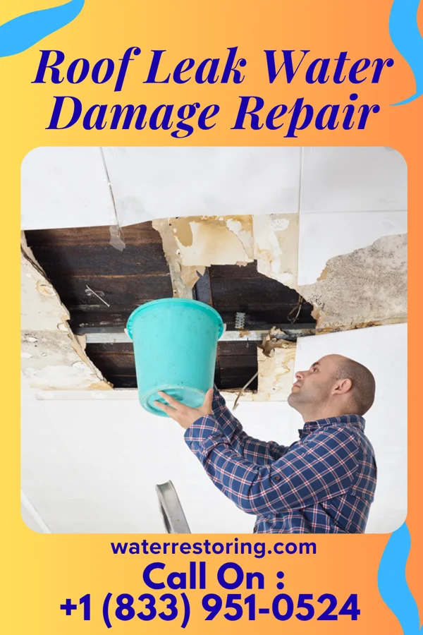 Roof Leak Water Damage Repair in Richmond Hill, GA